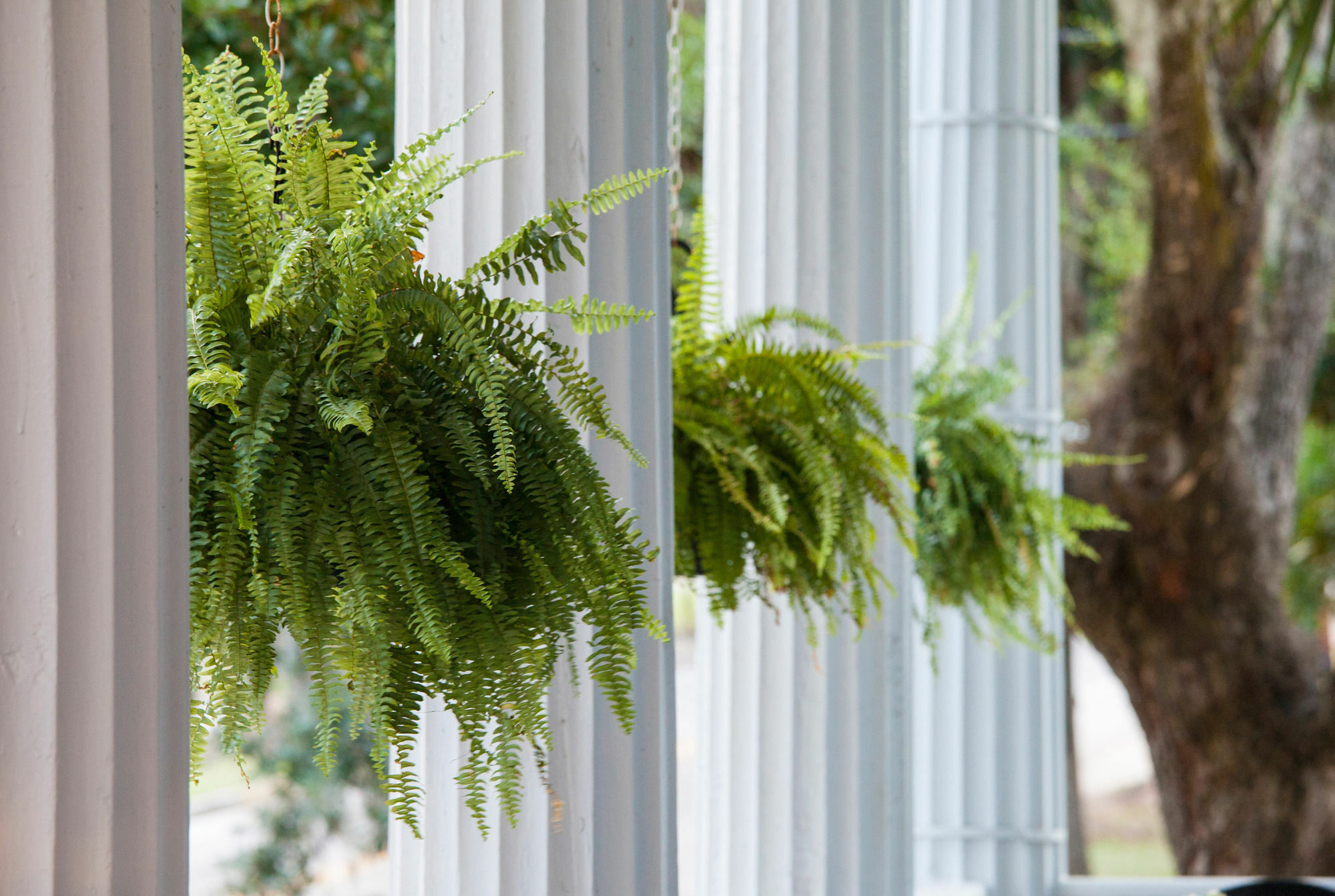 Rhett House Bed & Breakfast Beaufort Bagian luar foto